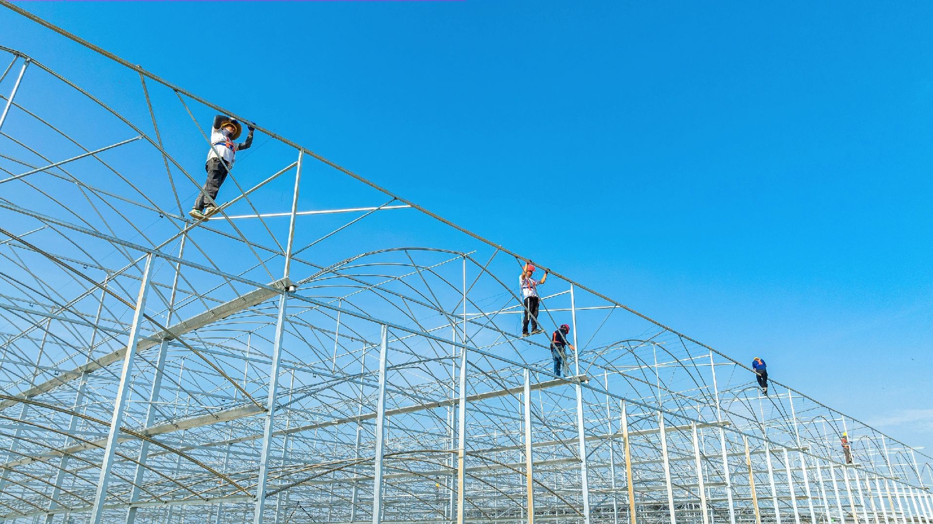 Crew working on greenhouse frame