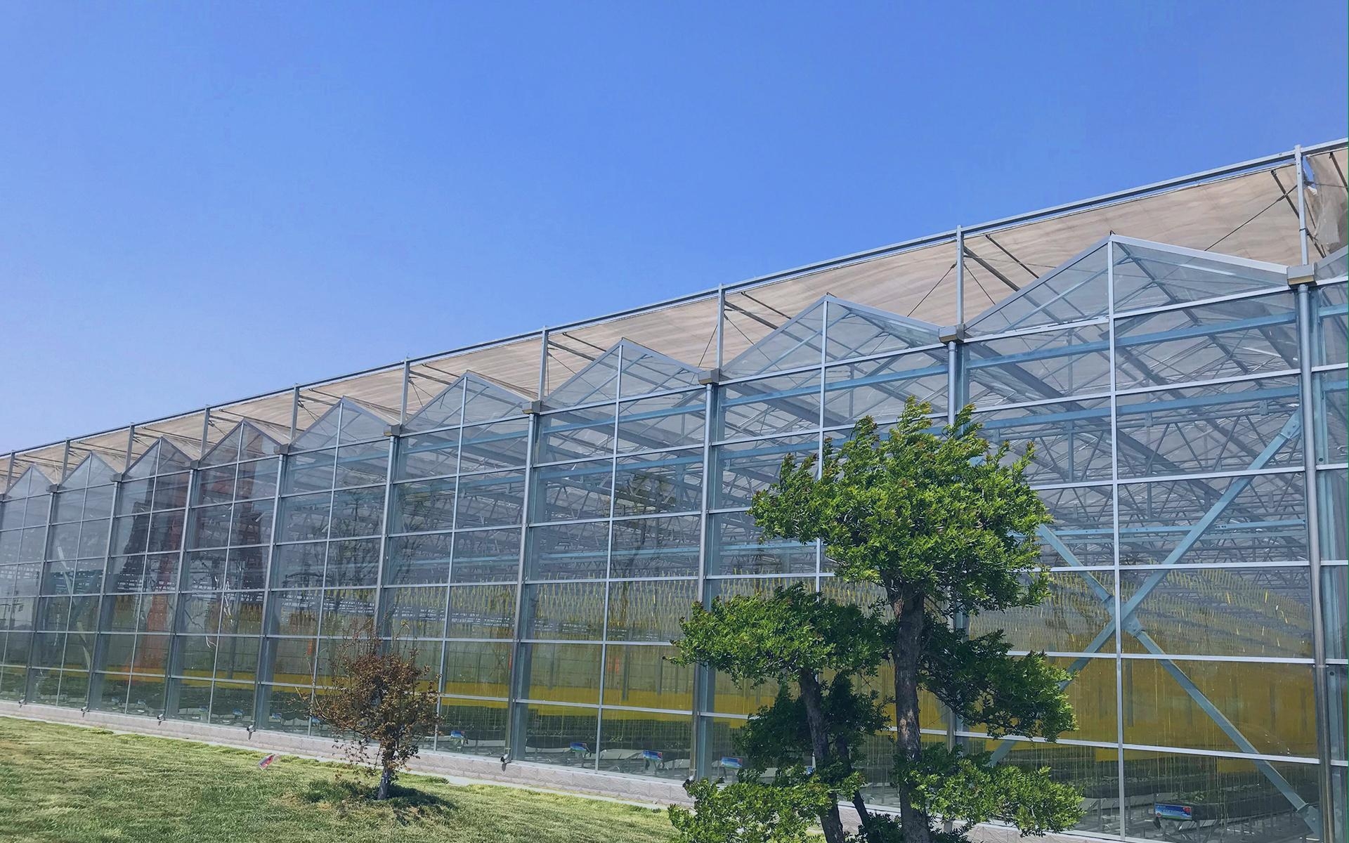 Film greenhouse project site