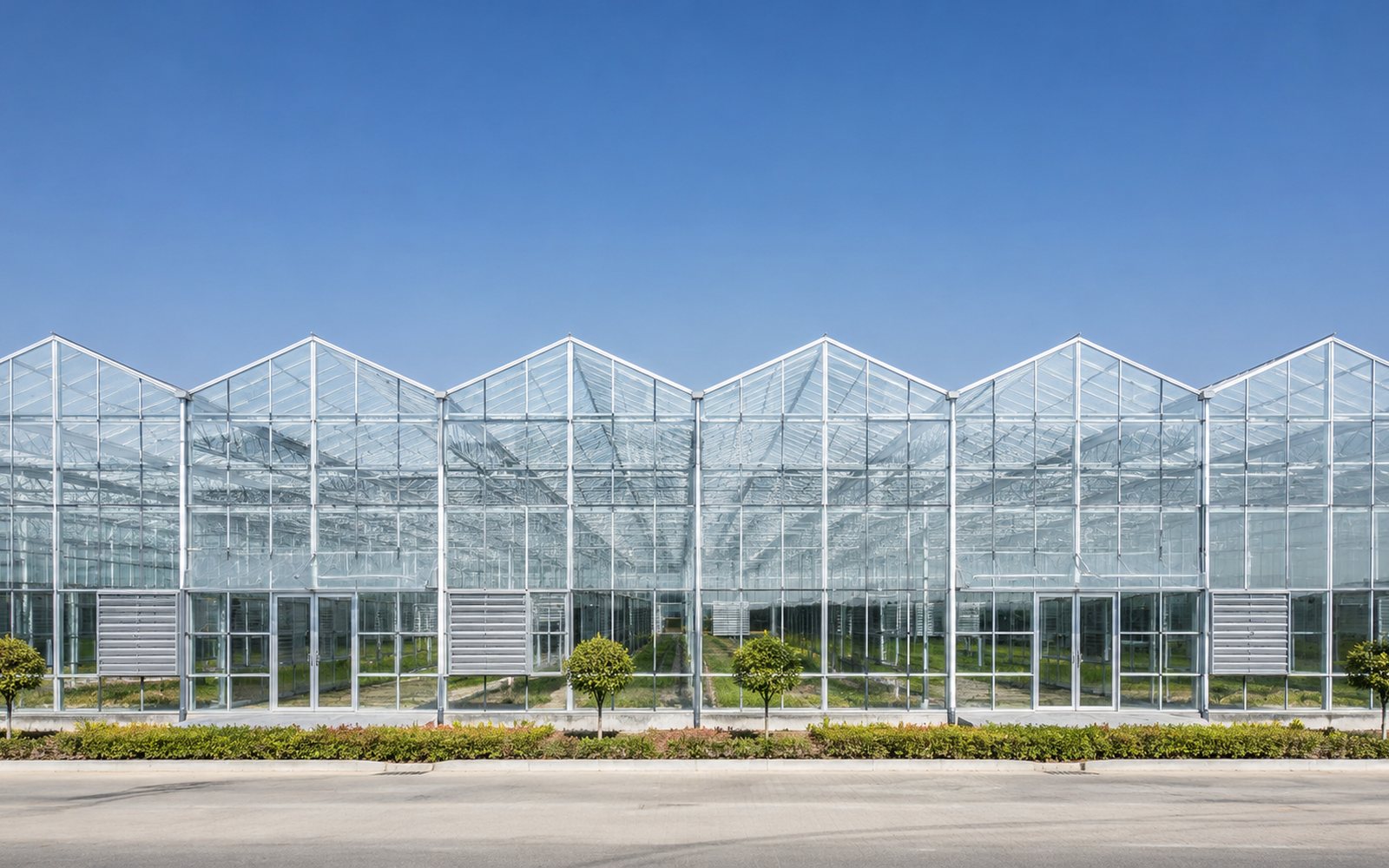 Dutch Venlo glass greenhouse exterior